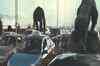 Trailer: Rise of the Planet of the Apes