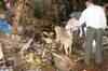 Mumbai blasts: Hunt on for Kolkata IM man