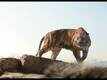 The Jungle Book Video -13