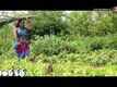 Vintha Katha Trailer