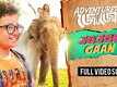 Adventures Of Jojo | Song - Jojor Gaan