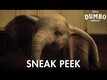Dumbo - Movie Clip