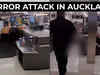 On cam: ISIS-inspired terrorist attacks shoppers at Auckland supermarket, killed by cops