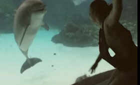 This Girl Knows How To Make A Dolphin Laugh