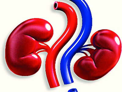 1,500 take part in organ donation walkathon